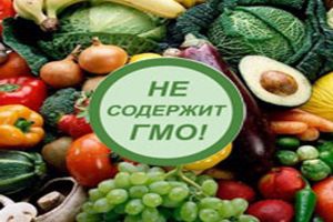 Российский премьер-министр подписал правила, определяющие порядок государственного регистрирования тех продуктов, которые содержат ГМО